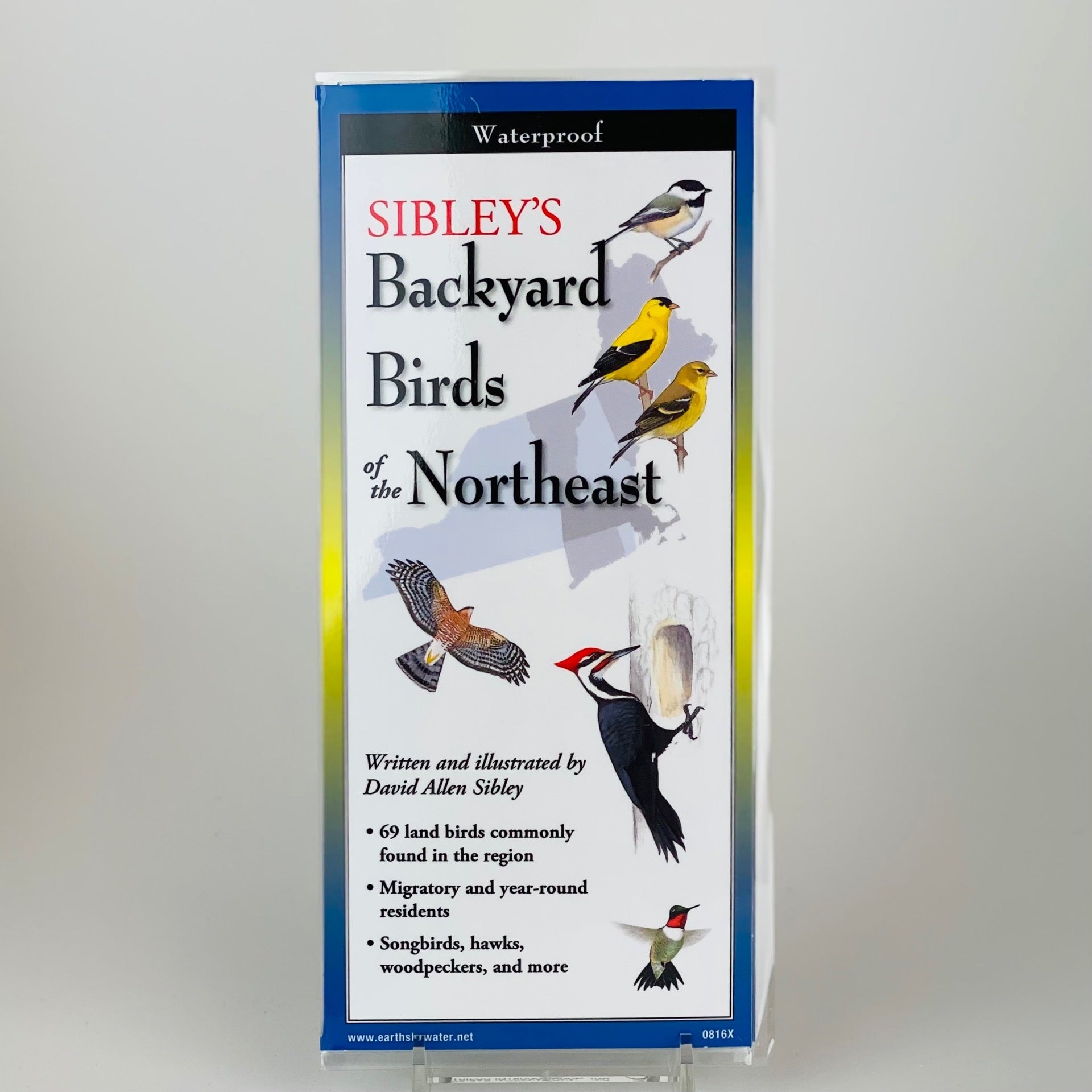 Folding guide Sibley’s Backyard Birds Of The Northeast Snowy Owl